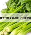 吃芹菜会拉肚子吗,拉肚子不能吃芹菜吗