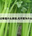 吃芹菜过敏是什么原因,吃芹菜为什么会过敏