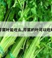 芹菜叶能吃么,芹菜的叶可以吃吗