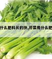 芹菜用什么肥料长的快,芹菜用什么肥料长得快