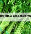 芹菜几月份播种,芹菜什么时间播种和怎么样播种