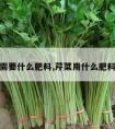 芹菜需要什么肥料,芹菜用什么肥料最好