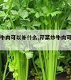 芹菜炒牛肉可以补什么,芹菜炒牛肉可以补什么营养