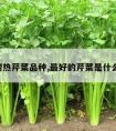 4个耐热芹菜品种,最好的芹菜是什么品种