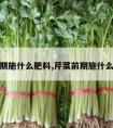 芹菜前期施什么肥料,芹菜前期施什么肥料好