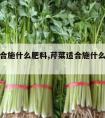 芹菜适合施什么肥料,芹菜适合施什么肥料最好