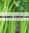 芹菜柠檬汁能减肥吗,芹菜柠檬汁可以减肥吗