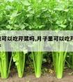 月子里可以吃芹菜吗,月子里可以吃芹菜吗 剖腹产