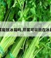 芹菜能放冰箱吗,芹菜可以放在冰箱吗