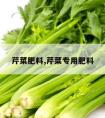 芹菜肥料,芹菜专用肥料