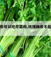 玫瑰糠疹可以吃芹菜吗,玫瑰糠疹不能吃哪些蔬菜