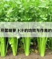 关于芹菜胡萝卜汁的功效与作用的信息