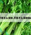 芹菜怎么保鲜,芹菜怎么保鲜储藏