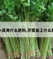 芹菜小苗用什么肥料,芹菜苗上什么肥料好