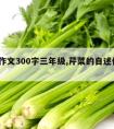 芹菜作文300字三年级,芹菜的自述作文300