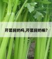 芹菜回奶吗,芹菜回奶嘛?