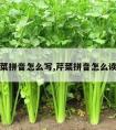 芹菜拼音怎么写,芹菜拼音怎么读音