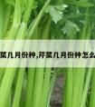 芹菜几月份种,芹菜几月份种怎么种