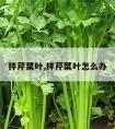 拌芹菜叶,拌芹菜叶怎么办