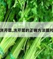 洗芹菜,洗芹菜的正确方法图片