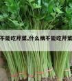 什么病不能吃芹菜,什么病不能吃芹菜和无花果