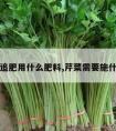 芹菜追肥用什么肥料,芹菜需要施什么肥