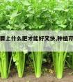 芹菜需要上什么肥才能好又快,种植芹菜用什么肥好