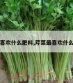 芹菜喜欢什么肥料,芹菜最喜欢什么肥料