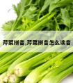 芹菜拼音,芹菜拼音怎么读音