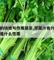 芹菜汁的功效与作用禁忌,芹菜汁有什么功效与作用是什么性质