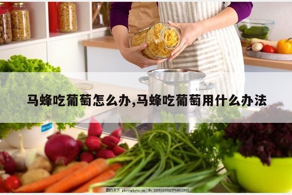 牛肉炖萝卜的做法,十四种牛肉炖萝卜的做法大全