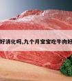 吃牛肉好消化吗,九个月宝宝吃牛肉好消化吗