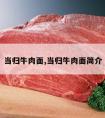 当归牛肉面,当归牛肉面简介