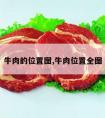 牛肉的位置图,牛肉位置全图