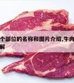 牛肉每个部位的名称和图片介绍,牛肉的部位名称图解