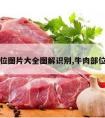 牛肉部位图片大全图解识别,牛肉部位示意图