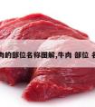 牛肉的部位名称图解,牛肉 部位 名称