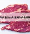 肥牛肉是什么肉,肥瘦牛肉是哪块肉