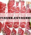 定安牛肉在哪里,定安牛肉在哪里批发