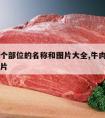 牛肉每个部位的名称和图片大全,牛肉部位名称及图片