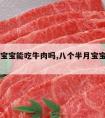 八个月宝宝能吃牛肉吗,八个半月宝宝能吃牛肉吗