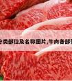 牛肉分类部位及名称图片,牛肉各部位介绍