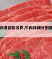 分割牛肉各部位名称,牛肉详细分割部位和牛肉产品