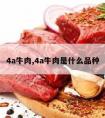 4a牛肉,4a牛肉是什么品种