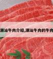 潮汕牛肉介绍,潮汕牛肉的牛肉