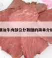 潮汕牛肉部位分割图的简单介绍