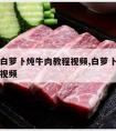 电炒锅白萝卜炖牛肉教程视频,白萝卜炖牛肉的做法视频