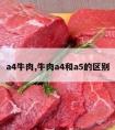 a4牛肉,牛肉a4和a5的区别