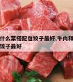 牛肉与什么菜搭配包饺子最好,牛肉和什么菜搭配包饺子最好