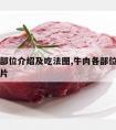 牛肉各部位介绍及吃法图,牛肉各部位介绍及吃法图片